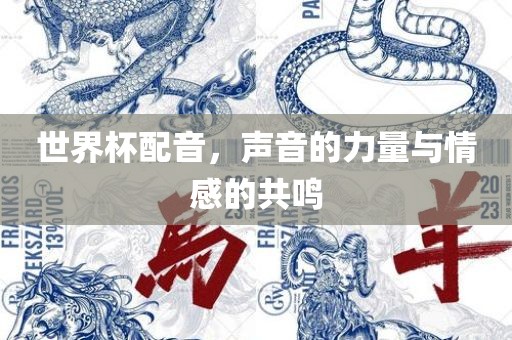 世界杯配音，声音的力量与情感的共鸣