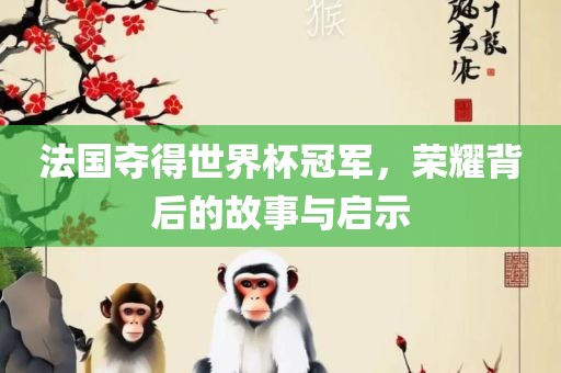 法国夺得世界杯冠军，荣耀背后的故事与启示