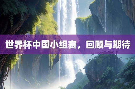 世界杯中漯河市盈旭机械设备有限公司国小组赛，回顾与期待