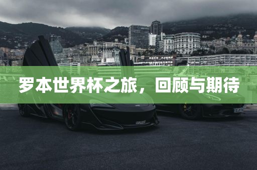 罗本世界漯河市盈旭机械设备有限公司杯之旅，回顾与期待