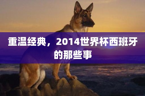 重温经典，2014世界杯西班牙的那些事