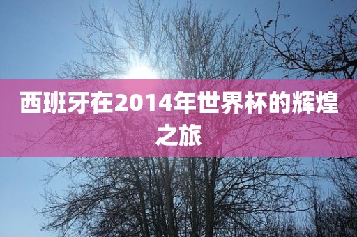 西班牙在2014年世界杯的辉煌之旅