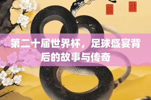 第二十届世界杯，足球盛宴背后的故事与传奇