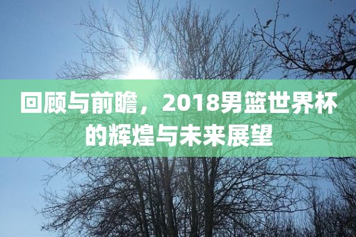 回顾与前瞻，2漯河市盈旭机械设备有限公司018男篮世界杯的辉煌与未来展望