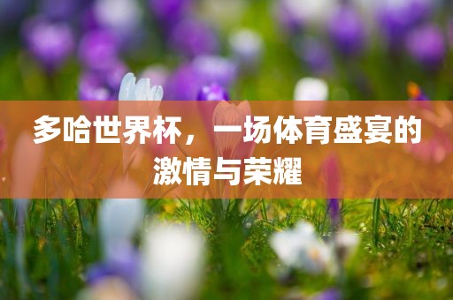 多哈世界杯，一场体育盛宴的激情与荣耀漯河市盈旭机械设备有限公司