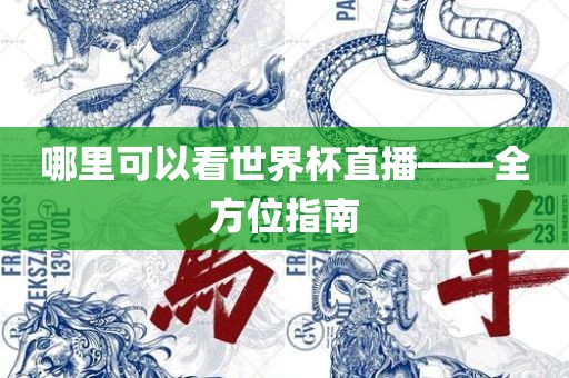 哪里可以看世界杯直播——全方位指南漯河市盈旭机械设备有限公司