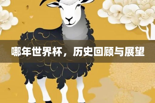 哪年世界杯，历史回顾与展望
