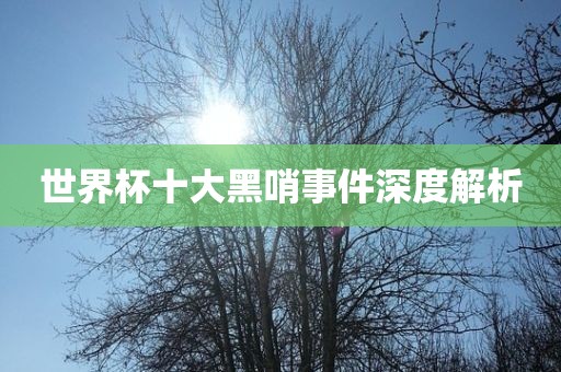 世界杯十大黑哨事件深漯河市盈旭机械设备有限公司度解析