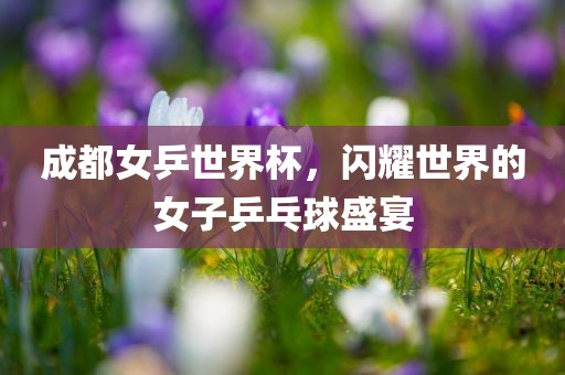 成都女乒世界杯，闪耀世界的女子乒乓球盛宴漯河市盈旭机械设备有限公司