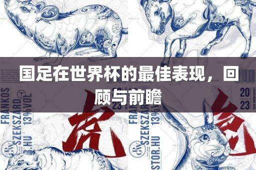 国足在世界杯的最佳表现，回顾与前瞻漯河市盈旭机械设备有限公司