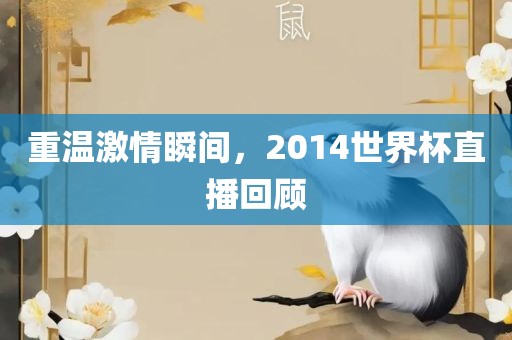 重温激情瞬间，2014世界杯直播回顾