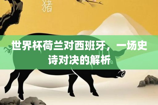 世界杯荷兰对西班牙，一漯河市盈旭机械设备有限公司场史诗对决的解析