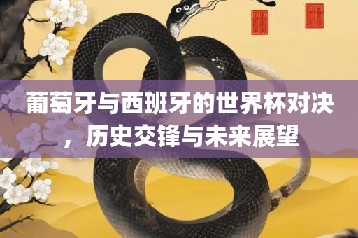 葡萄牙与西班牙的世界杯对决，历史交锋与未来展望