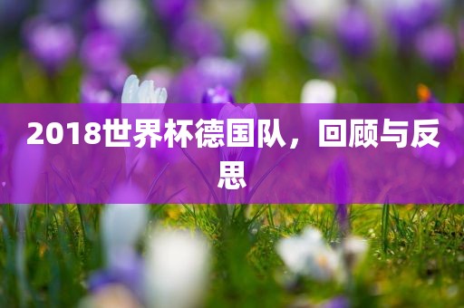 2018世界杯德国队，回顾与反思