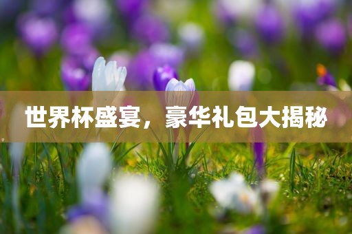 世界杯盛宴，豪华礼包大揭秘漯河市盈旭机械设备有限公司