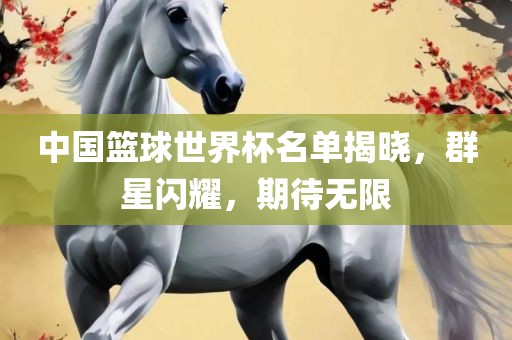 中国篮球世界杯名单揭晓，群星闪耀，漯河市盈旭机械设备有限公司期待无限