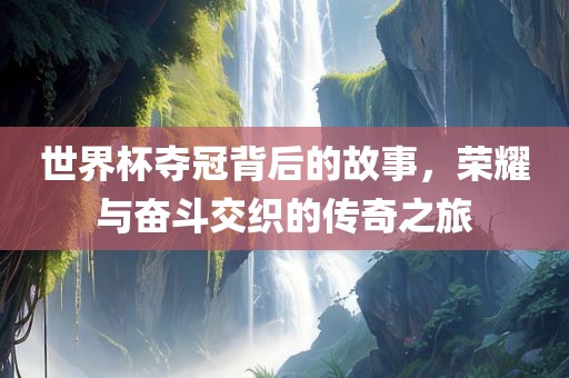 世界杯夺冠背后的故事，荣耀与奋斗交织的传奇之旅