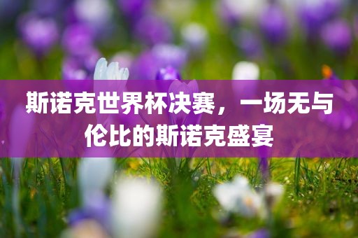 斯诺克世界杯决赛，一场无与伦比的斯诺克盛宴漯河市盈旭机械设备有限公司