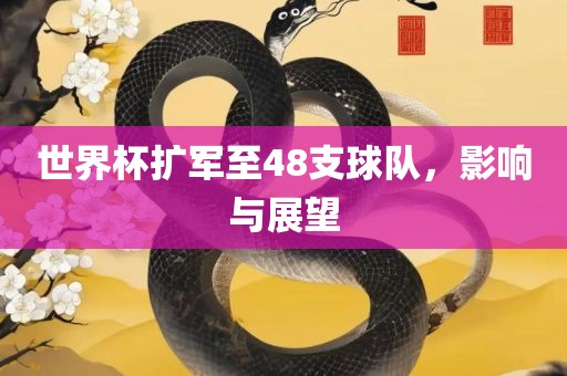 世界杯扩军至48支球队，影响与展望