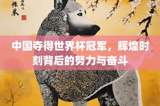 中国夺得世界杯冠军，辉煌时刻背后的努力与奋斗漯河市盈旭机械设备有限公司