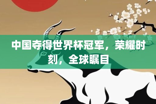 中国夺得世界杯冠军，荣耀时刻，全球瞩目