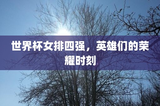 世界杯女排四强，英雄们的荣耀时刻