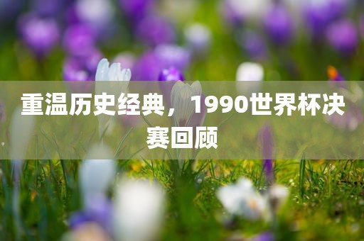 重温历史经典，1990世界杯决赛回顾漯河市盈旭机械设备有限公司