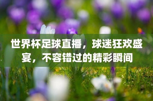 世界杯足球直播，球迷狂欢盛宴，不容错过的精彩瞬间