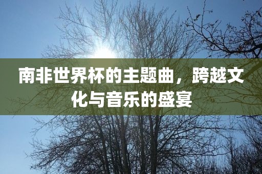 南非世界杯的主题曲，跨越文化与音乐的盛宴