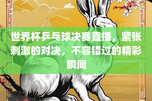 世界杯乒乓球决赛直播，紧张刺激的对决，不容错过的精彩瞬间