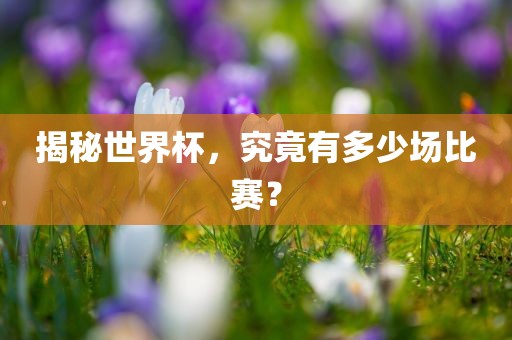 揭秘世界杯，究竟有多少场比赛？漯河市盈旭机械设备有限公司