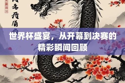 世界杯盛宴，从开幕到决赛的精彩瞬间回顾