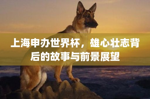上海申办世界杯，雄心壮志背后的故事与前景展望