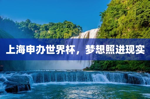 上海申办世界杯，梦想照进现实