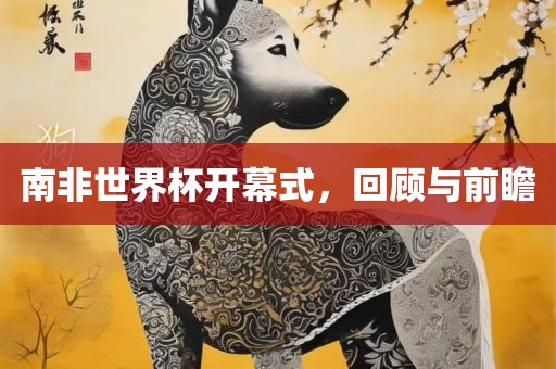 南非世界杯开幕式，回顾与前瞻