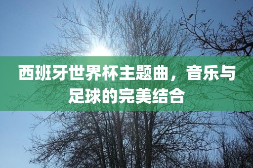 西班牙世界杯主题曲，音乐与足球的完美结合