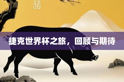 捷克世界杯之旅，回顾与期待漯河市盈旭机械设备有限公司