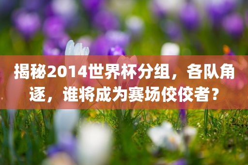 揭秘2014世界杯分组，各队角逐，谁将成为赛场佼佼者？