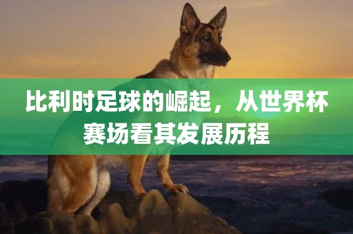 比利时足球的崛起，从世界杯赛场看其发展历程