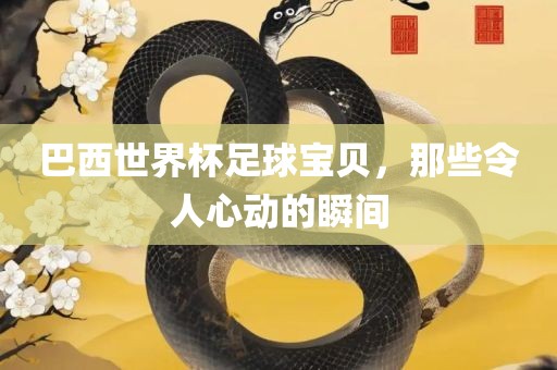 巴西世界杯足球宝贝，那些令人心动的瞬间