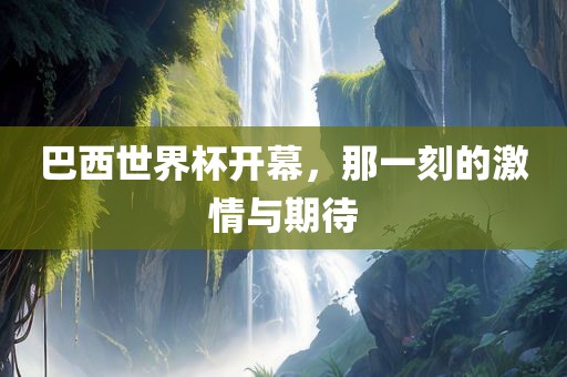 巴西世界杯开幕，那一刻的激情与期待漯河市盈旭机械设备有限公司