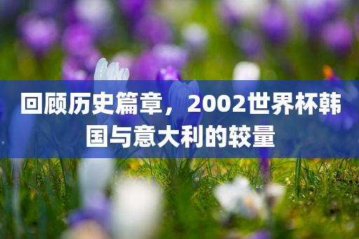 回顾历史篇章，2002世界杯韩国与意大利的较量