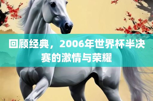 回顾经典，2006年世界杯半决赛的激情与荣耀