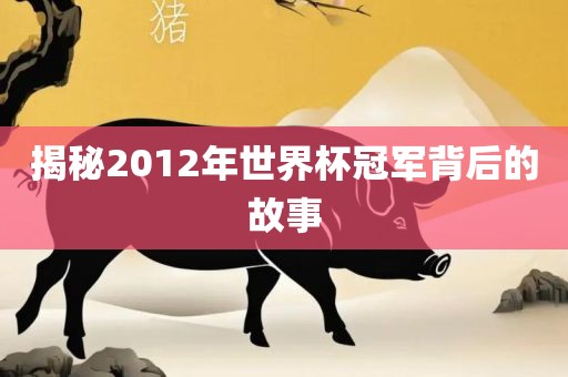 揭秘2012年世界杯冠军背后的故事