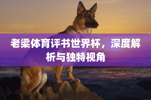 老梁体育评书世界杯，深度解析与独特视角