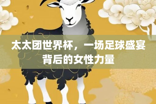太太团世界杯，一场足球盛宴背后的女性力量