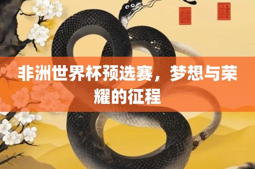 非洲世界杯预选赛，梦想与荣耀的征程