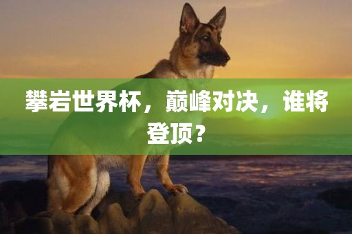 攀岩世界杯，巅峰对决，谁将登顶？