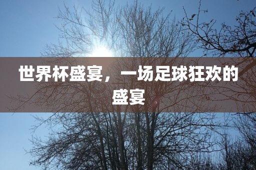 世界杯盛宴，一场足球狂欢的盛宴