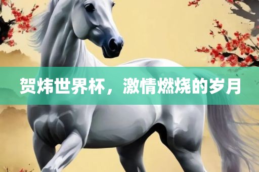 贺炜世界杯，激情燃烧的岁月